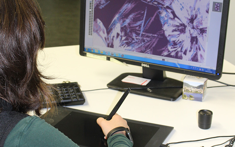 Employee at the computer with graphics tablet